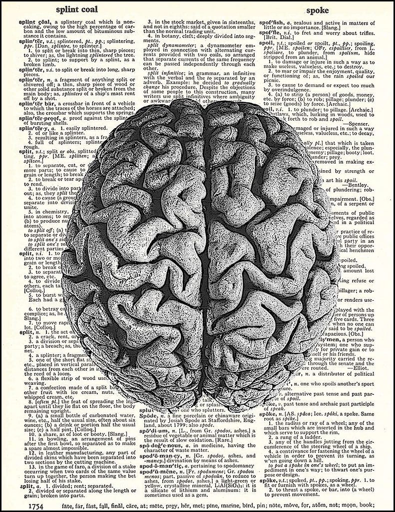 7 Facts that you didn't know about the brain